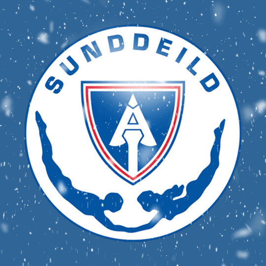 Gleðileg jól! - Merry Christmas!